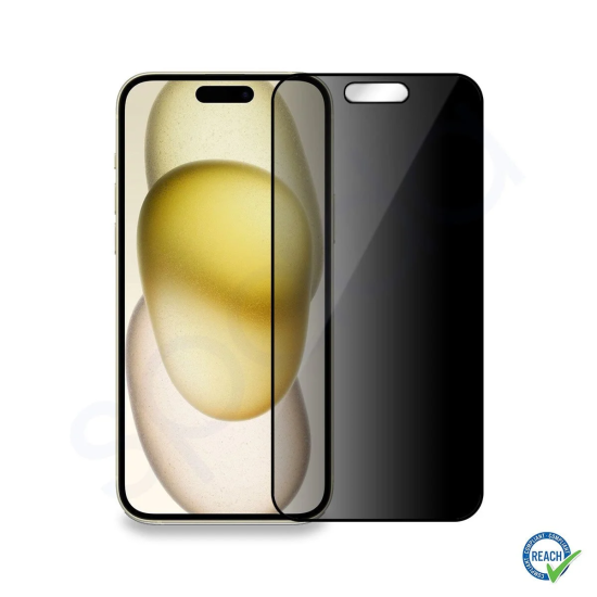 iPhone 15 Spada Phantom Privacy Cam Ekran Koruyucu