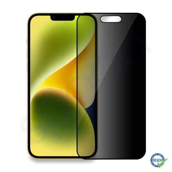 Samsung S25 Plus Phantom Tam Ekran Koruma Camı